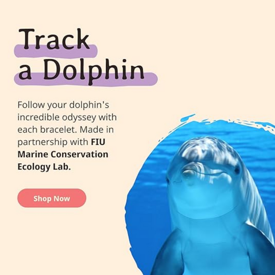 The Odyssey Dolphin Tracking Bracelet