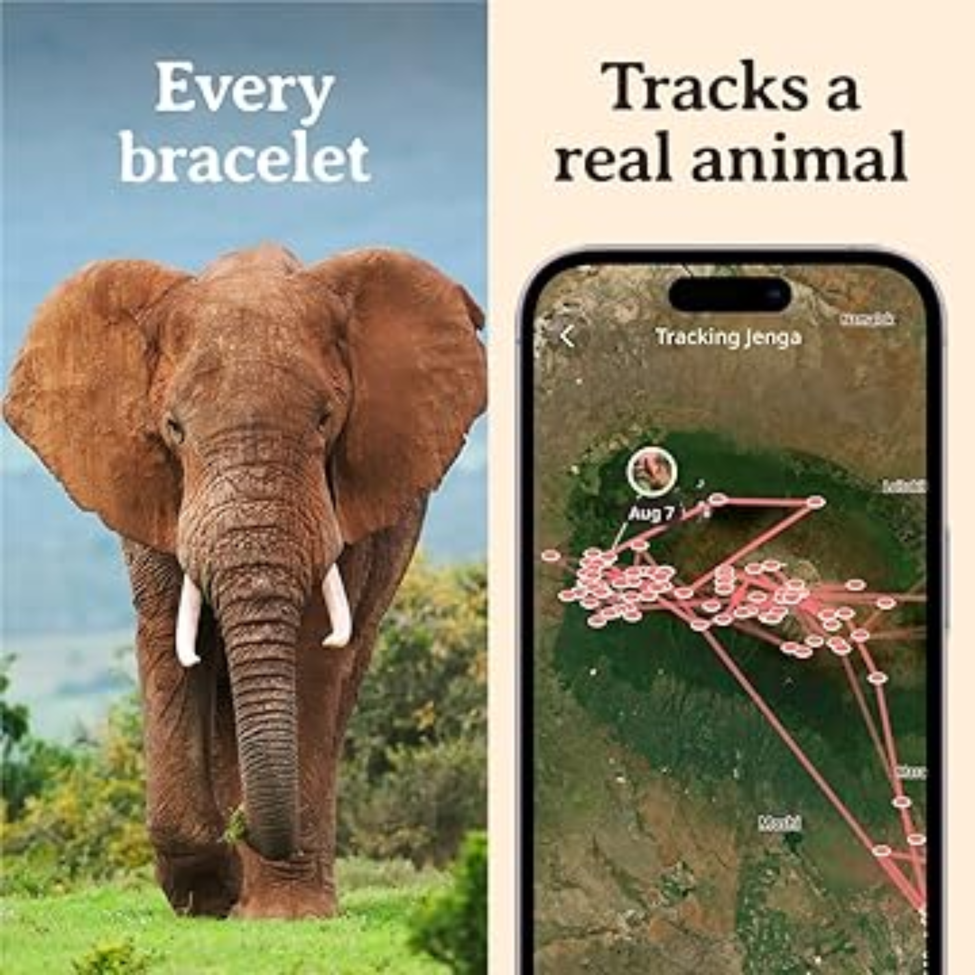 The Expedition Elephant Tracking Bracelet