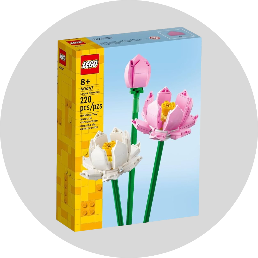 LEGO — Learning Express Gifts