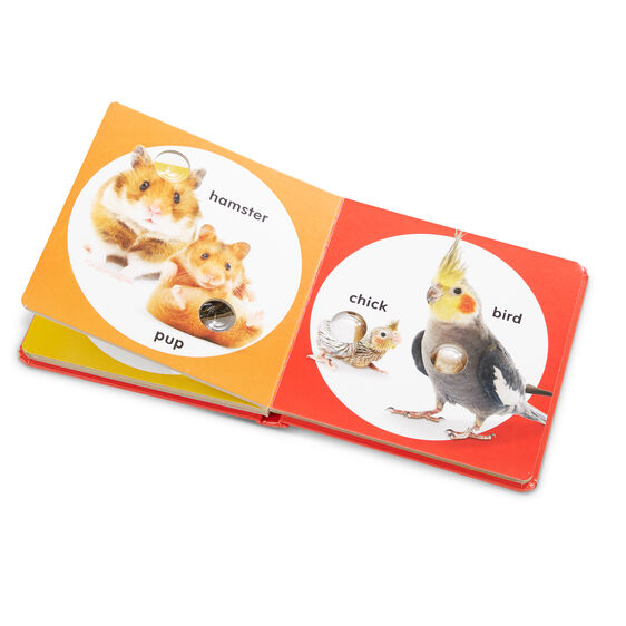 Poke-A-Dot: Pet Families