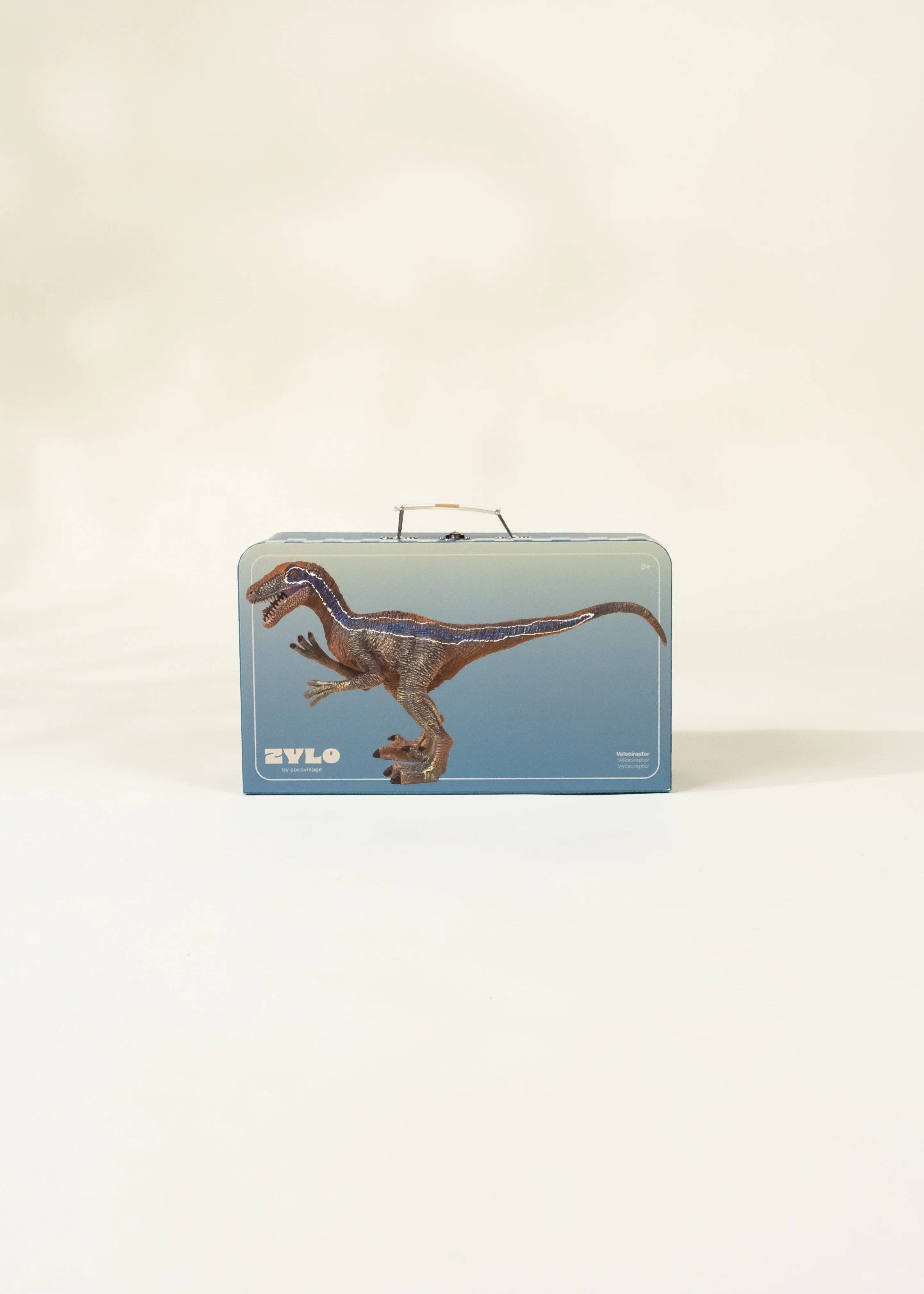 Velociraptor Dinosaur in a Collectible Box
