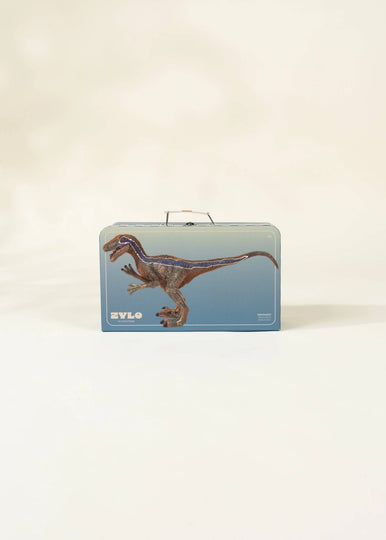 Velociraptor Dinosaur in a Collectible Box
