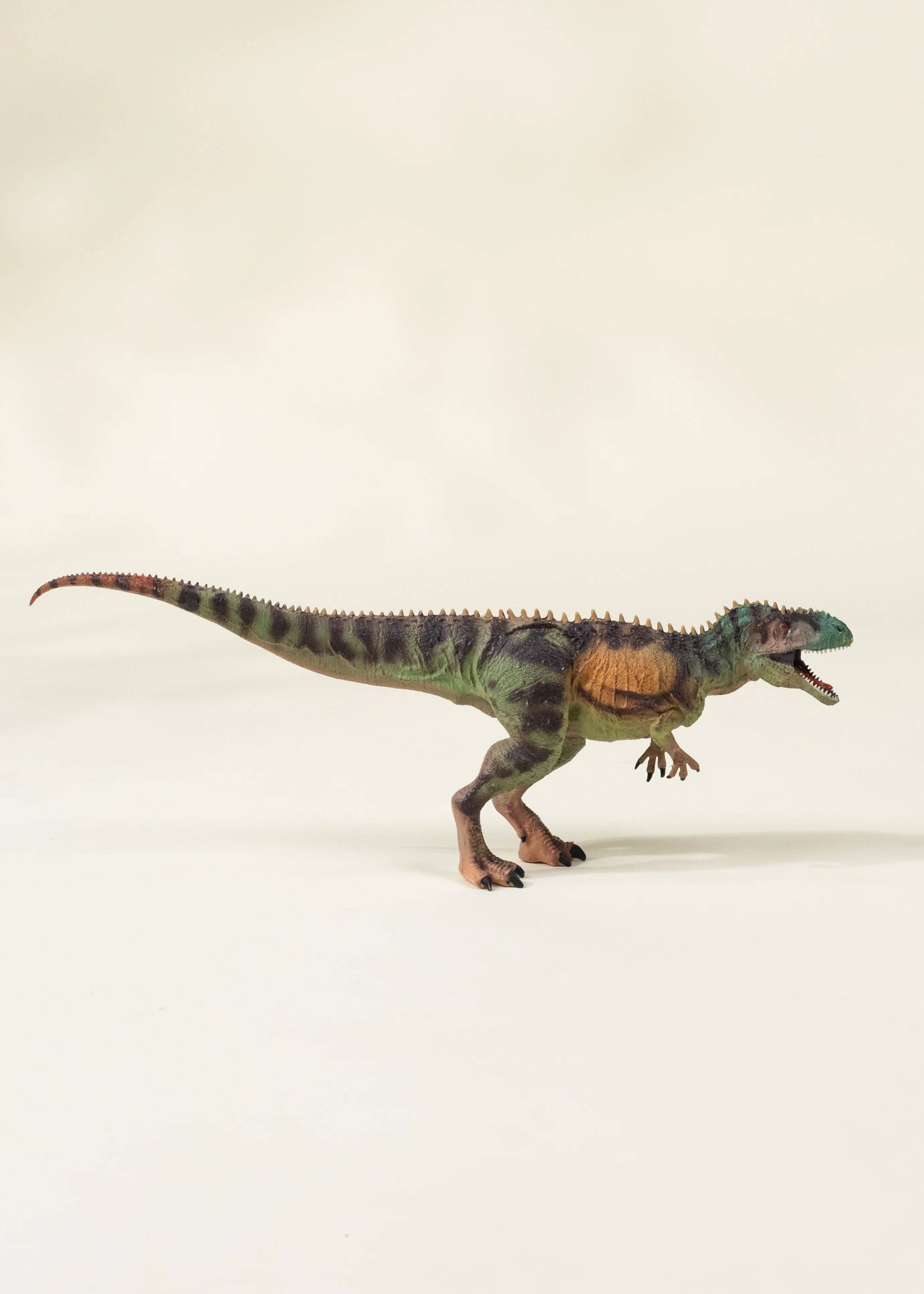 Tyrannosaurus Rex Dinosaur in a Collectible Box