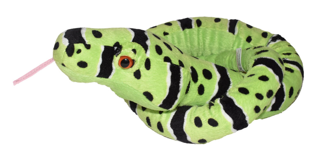 Snake Green Rock Rattle 54