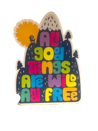 Assorted Stickers Large