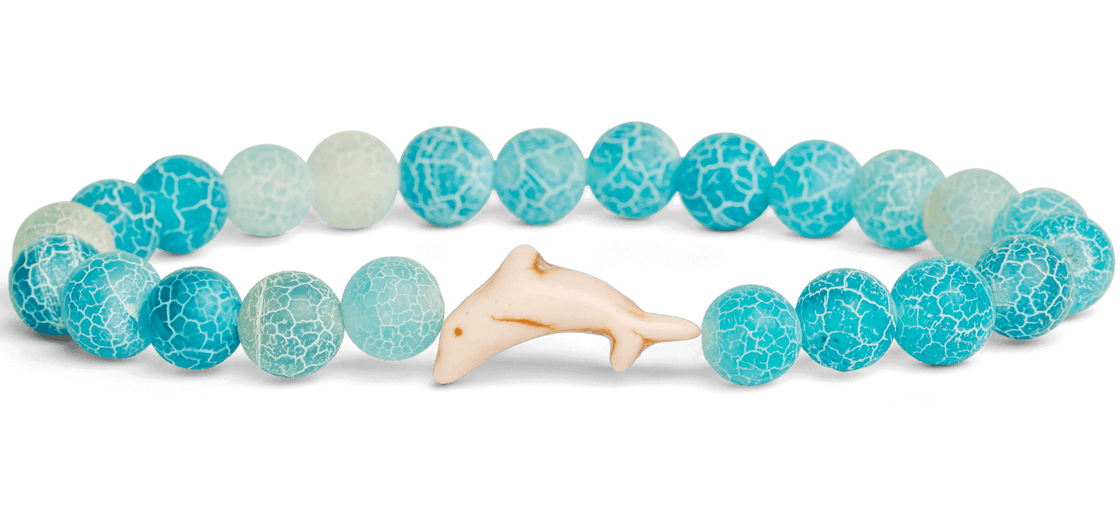 Aqua Blue Dolphin