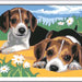 https://ravensburger.cloud/images/produktseiten/820x600/12023083.webp