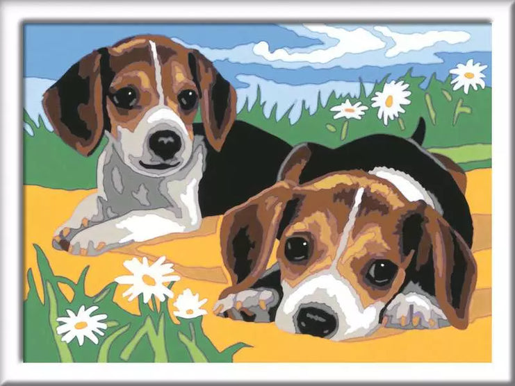 https://ravensburger.cloud/images/produktseiten/820x600/12023083.webp