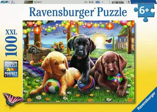 https://ravensburger.cloud/images/produktseiten/520x445/12886.webp