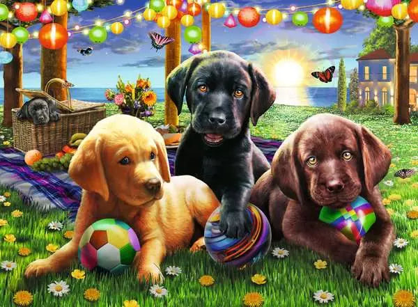 https://ravensburger.cloud/images/produktseiten/600x600/12886_1.webp