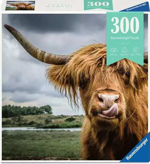 https://ravensburger.cloud/images/produktseiten/600x600/13273.webp