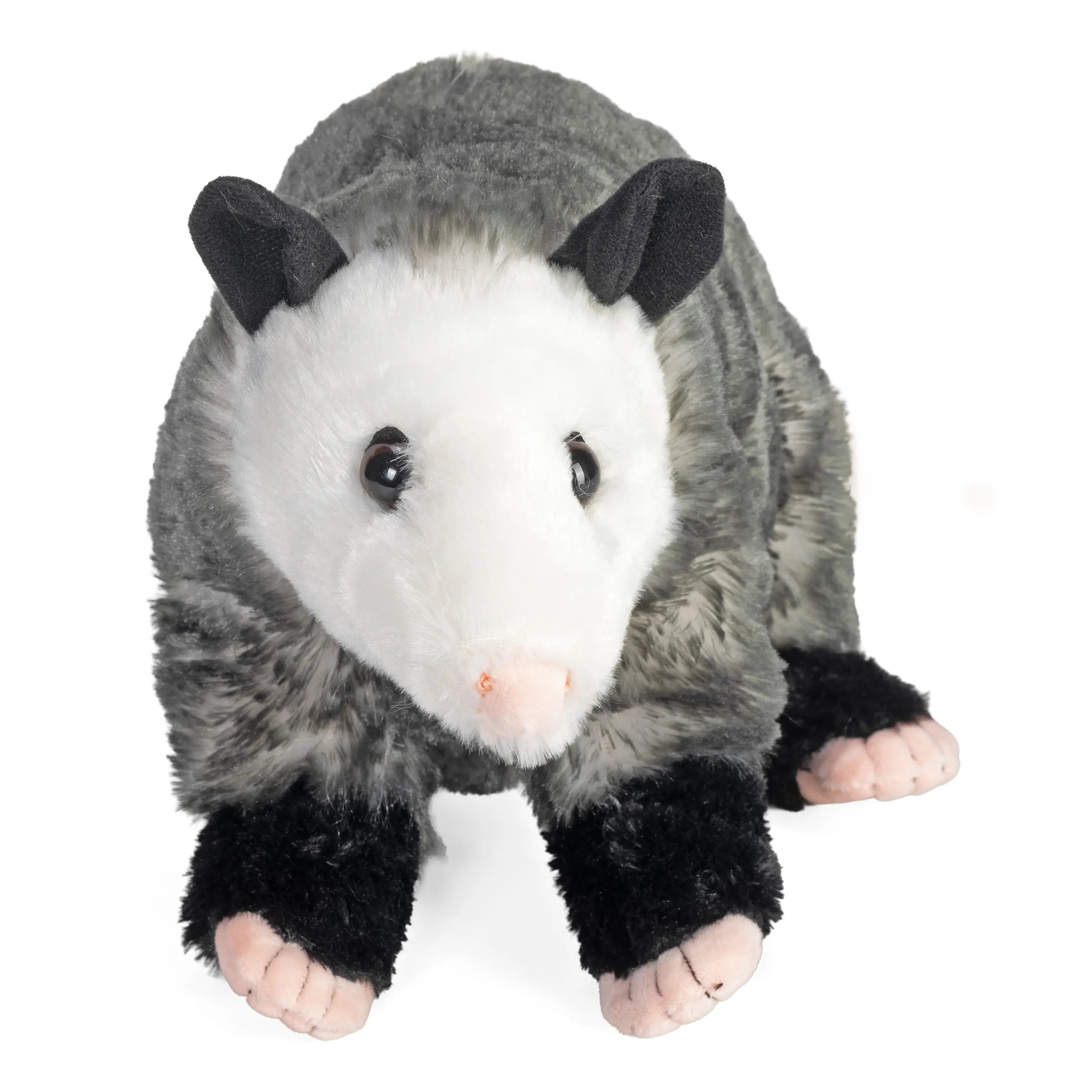 https://cdn.shopify.com/s/files/1/0115/4891/7819/files/13462_F.jpg?v=1767477043