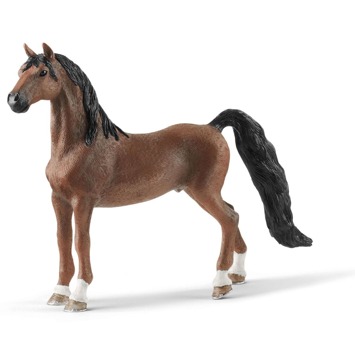 American Saddlebred Geldi