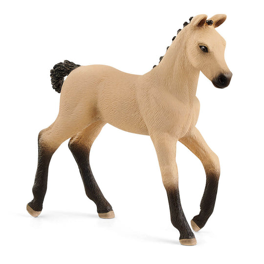 Hannoverian Foal Red Dun