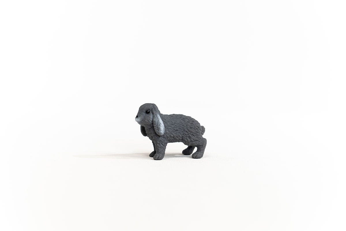 https://cdn.shopify.com/s/files/1/0761/9818/3222/products/13935_Lop-Eared_Rabbit_02.jpg?v=1695745309