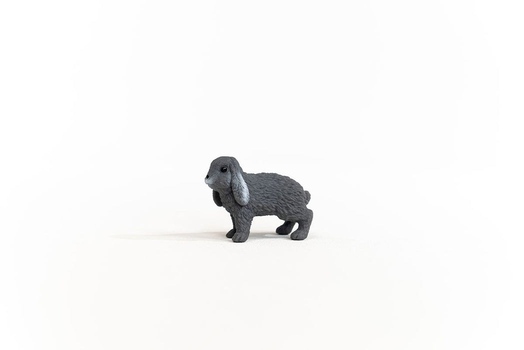 https://cdn.shopify.com/s/files/1/0761/9818/3222/products/13935_Lop-Eared_Rabbit_02.jpg?v=1695745309