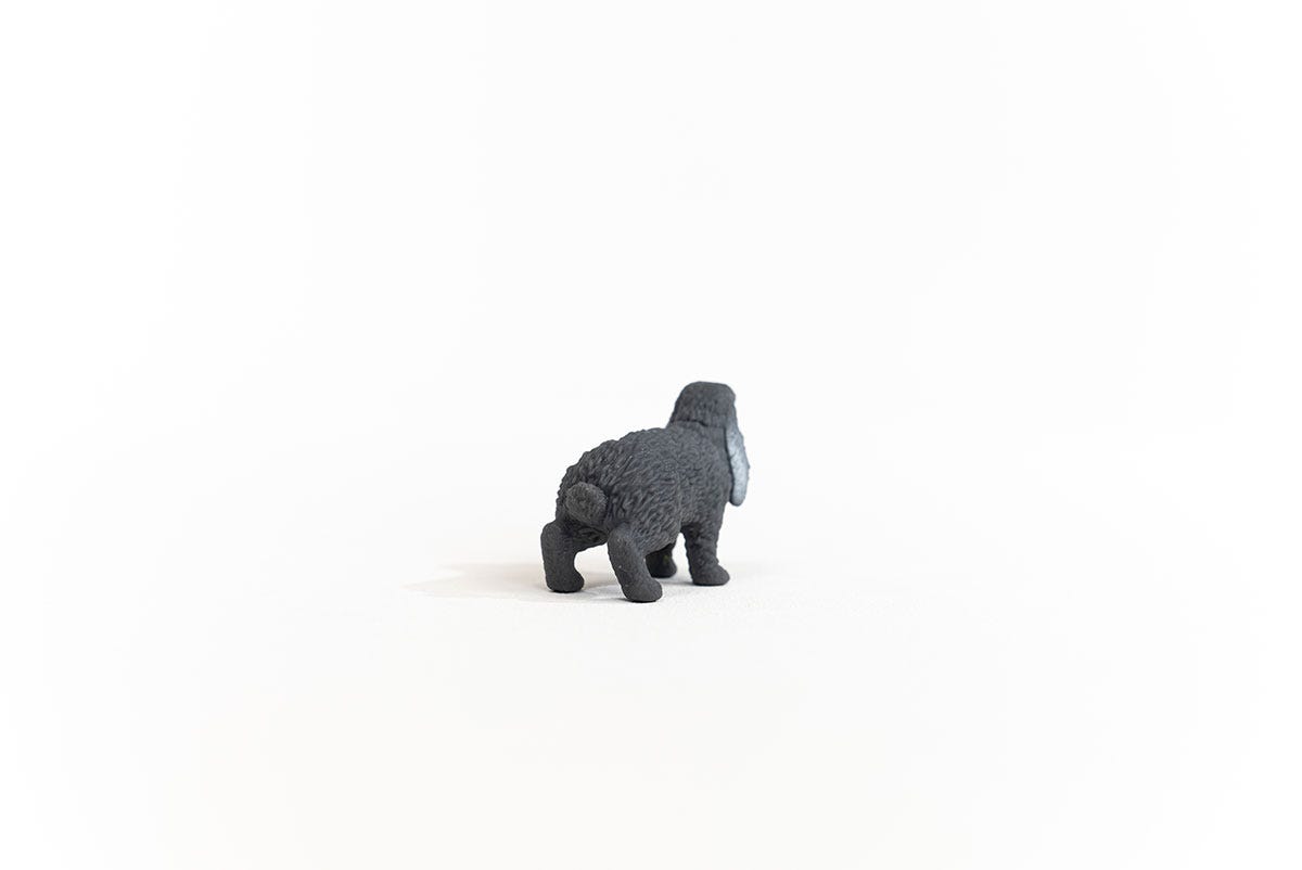 https://cdn.shopify.com/s/files/1/0761/9818/3222/products/13935_Lop-Eared_Rabbit_03.jpg?v=1695745309