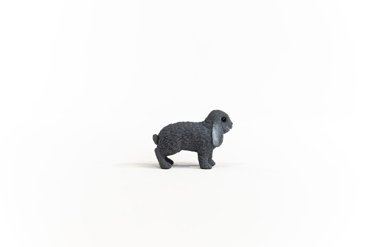 https://cdn.shopify.com/s/files/1/0761/9818/3222/products/13935_Lop-Eared_Rabbit_04.jpg?v=1695745309