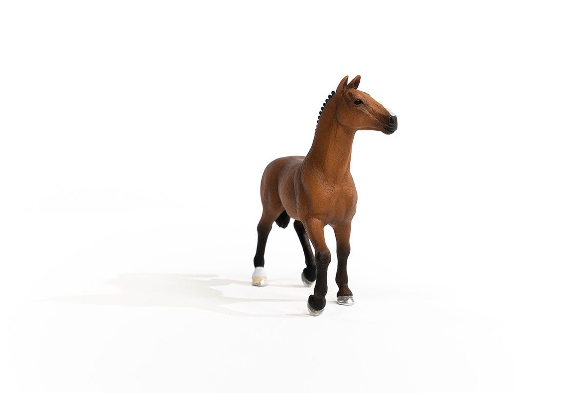 https://cdn.shopify.com/s/files/1/0761/9818/3222/products/13945_Oldenburg_Mare_01.jpg?v=1695745285