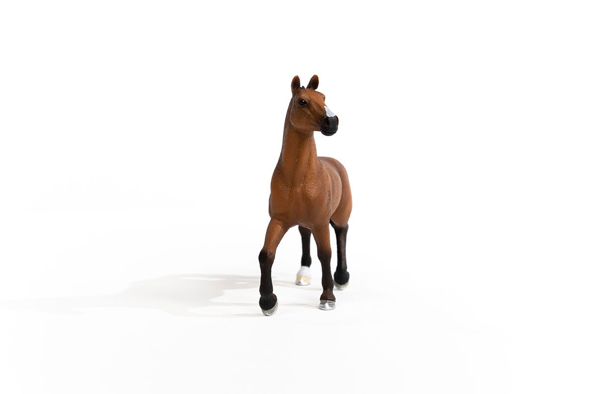 https://cdn.shopify.com/s/files/1/0761/9818/3222/products/13945_Oldenburg_Mare_02.jpg?v=1695745285