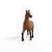 https://cdn.shopify.com/s/files/1/0761/9818/3222/products/13945_Oldenburg_Mare_02.jpg?v=1695745285