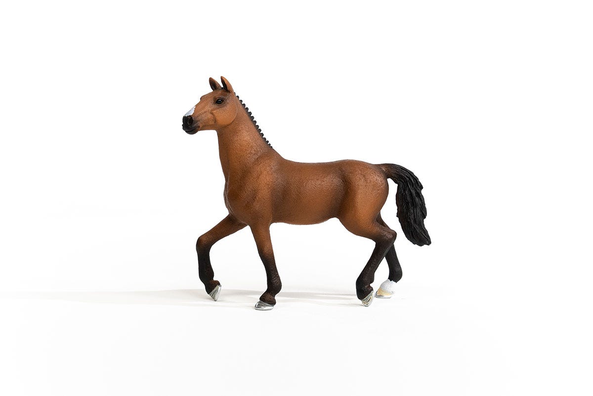 https://cdn.shopify.com/s/files/1/0761/9818/3222/products/13945_Oldenburg_Mare_03.jpg?v=1695745285