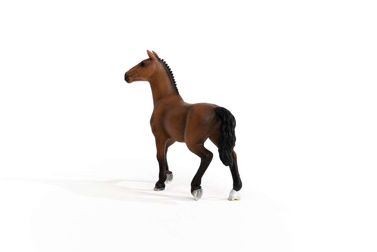 https://cdn.shopify.com/s/files/1/0761/9818/3222/products/13945_Oldenburg_Mare_04.jpg?v=1695745285