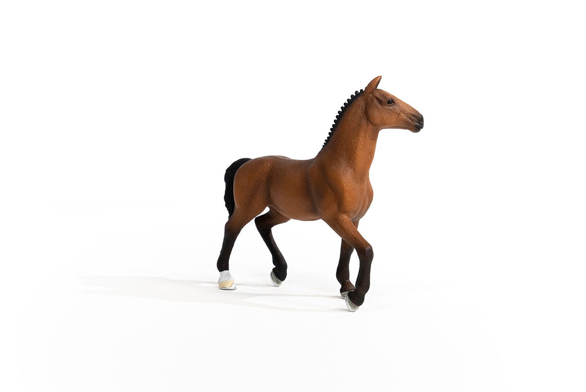 https://cdn.shopify.com/s/files/1/0761/9818/3222/products/13945_Oldenburg_Mare_06.jpg?v=1695745285