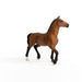 https://cdn.shopify.com/s/files/1/0761/9818/3222/products/13945_Oldenburg_Mare_06.jpg?v=1695745285
