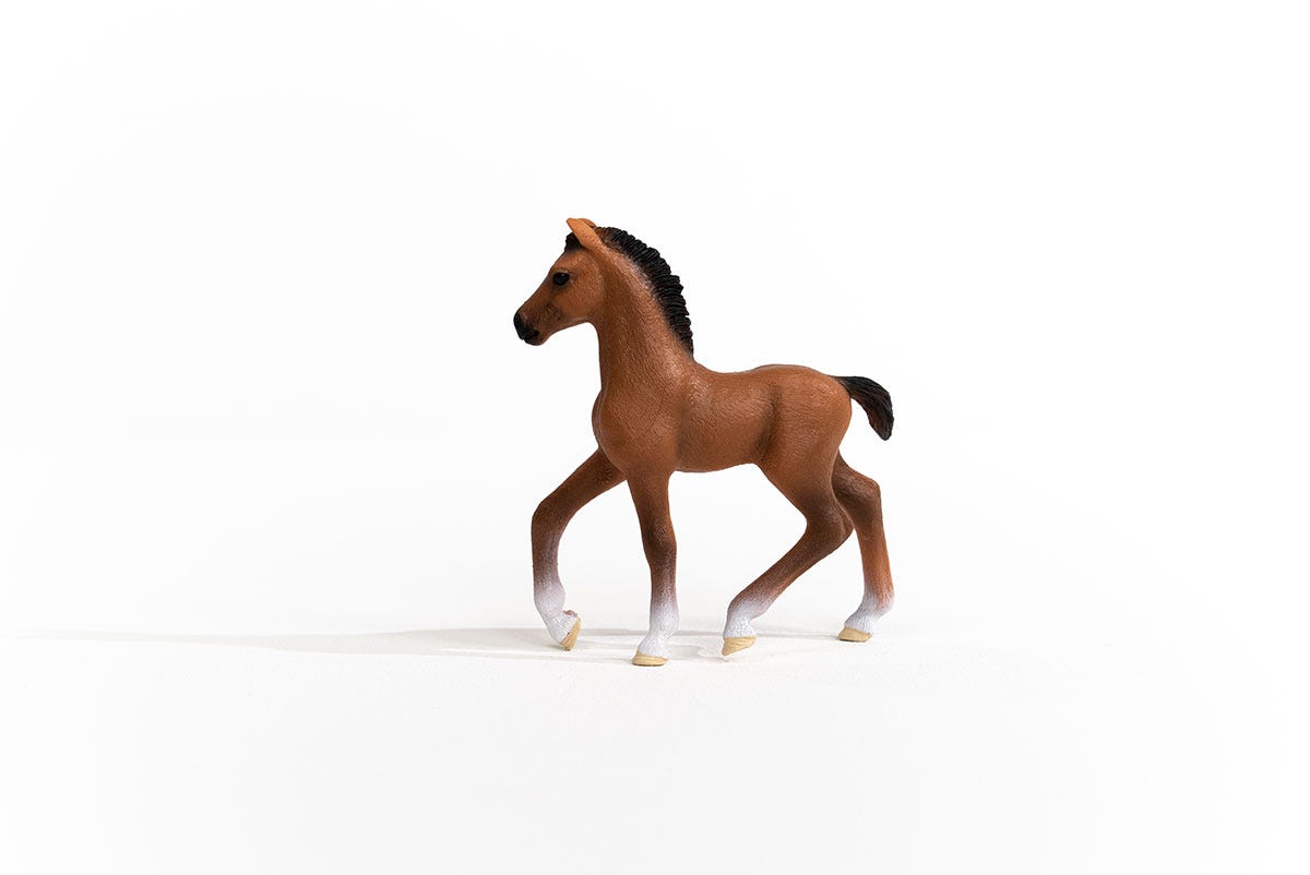 https://cdn.shopify.com/s/files/1/0761/9818/3222/products/13947_Oldenburg_Foal_01.jpg?v=1695745283