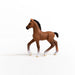 https://cdn.shopify.com/s/files/1/0761/9818/3222/products/13947_Oldenburg_Foal_01.jpg?v=1695745283