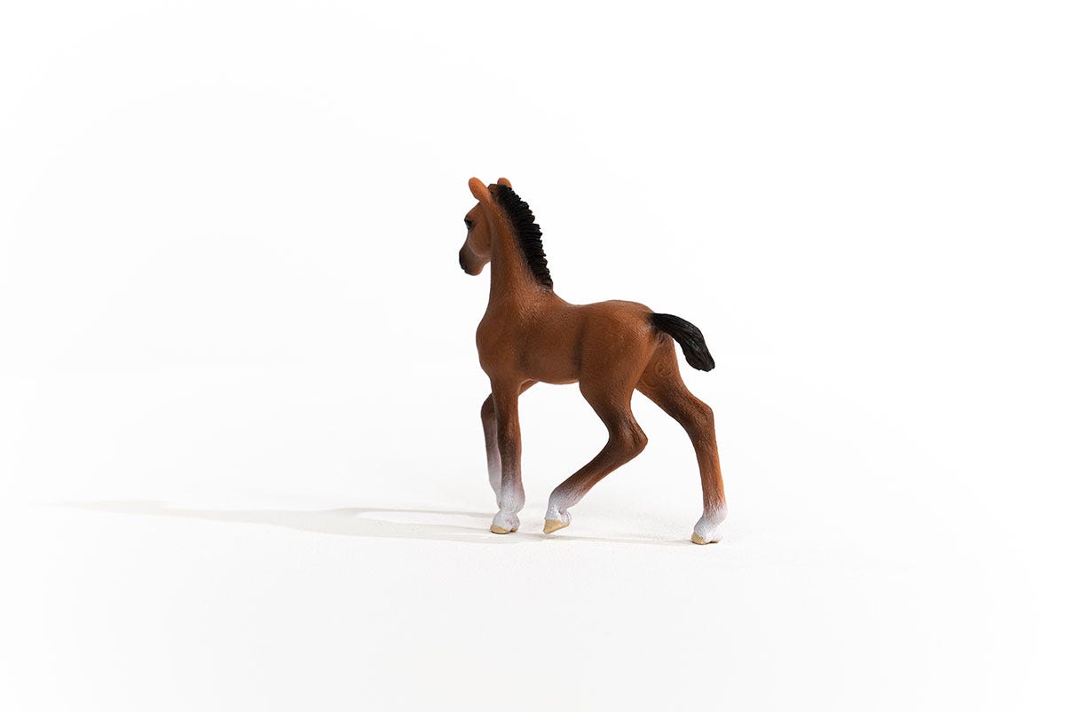 https://cdn.shopify.com/s/files/1/0761/9818/3222/products/13947_Oldenburg_Foal_02.jpg?v=1695745283