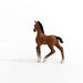 https://cdn.shopify.com/s/files/1/0761/9818/3222/products/13947_Oldenburg_Foal_02.jpg?v=1695745283