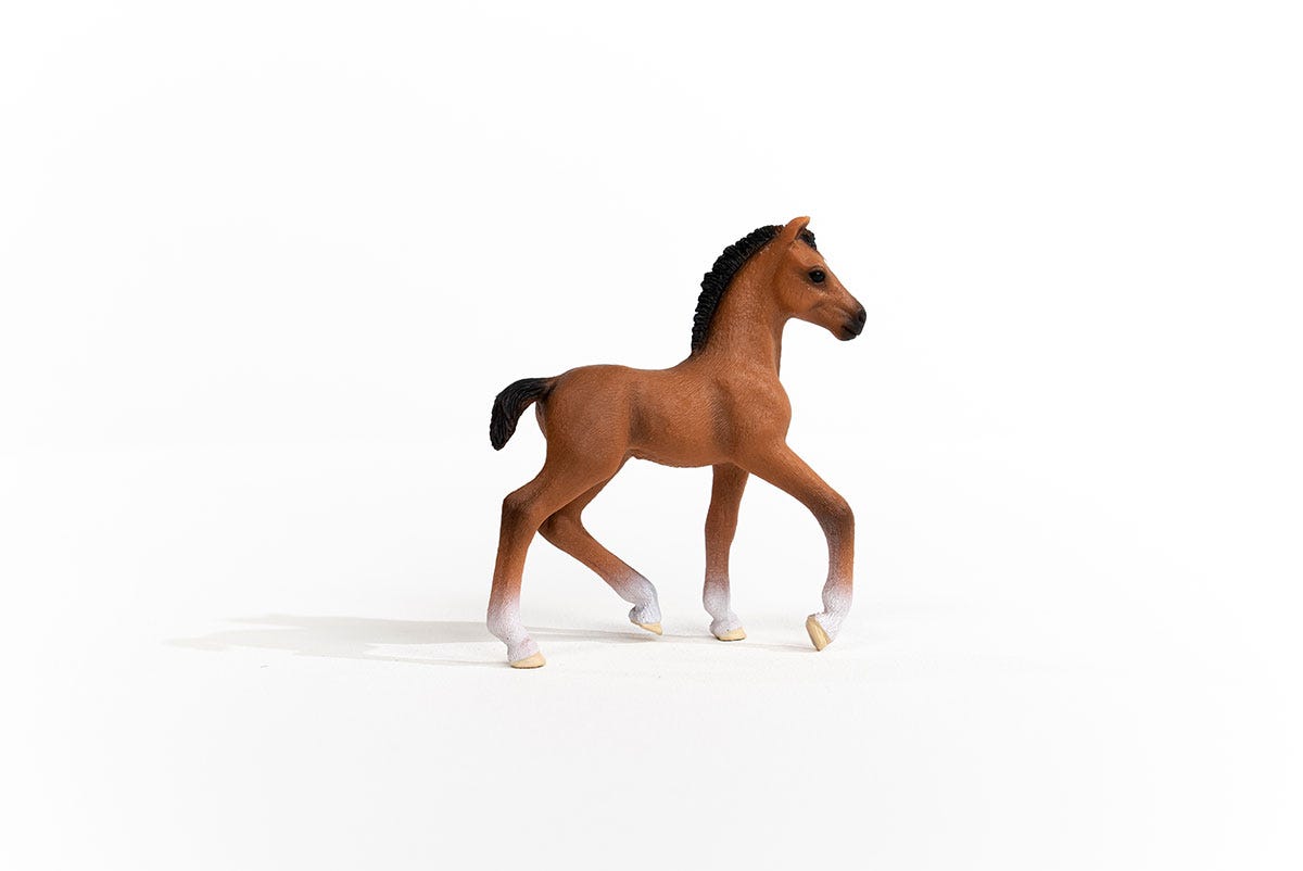 https://cdn.shopify.com/s/files/1/0761/9818/3222/products/13947_Oldenburg_Foal_03.jpg?v=1695745283