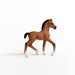 https://cdn.shopify.com/s/files/1/0761/9818/3222/products/13947_Oldenburg_Foal_03.jpg?v=1695745283