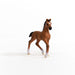 https://cdn.shopify.com/s/files/1/0761/9818/3222/products/13947_Oldenburg_Foal_04.jpg?v=1695745283