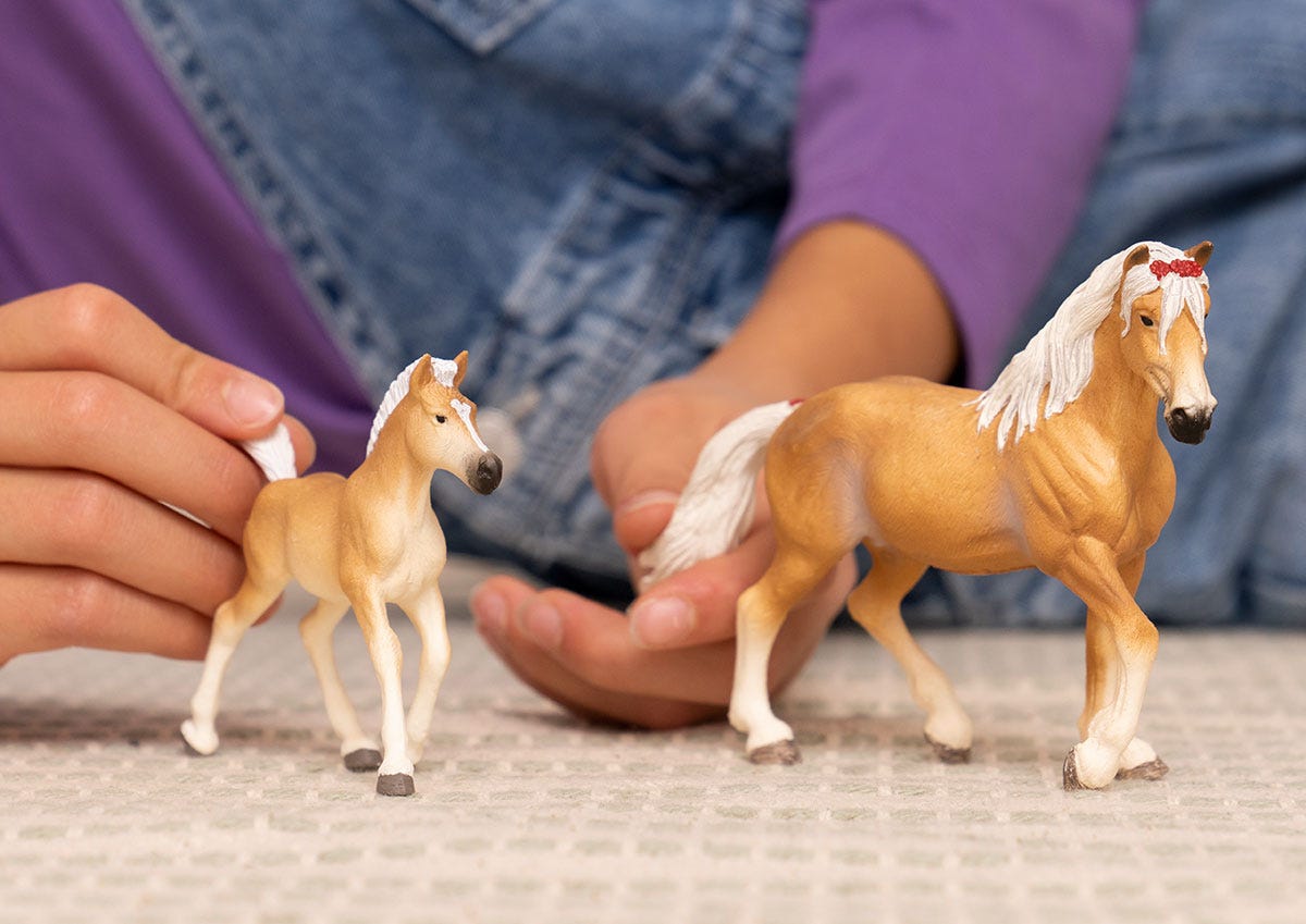 https://cdn.shopify.com/s/files/1/0761/9818/3222/files/13950_13951_HC_HaflingerMare_Foal_cropped_quer_RGB_dfe865a3-f20f-4124-935d-c57b65fce5d2.jpg?v=1707154938