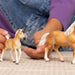 https://cdn.shopify.com/s/files/1/0761/9818/3222/files/13950_13951_HC_HaflingerMare_Foal_cropped_quer_RGB_dfe865a3-f20f-4124-935d-c57b65fce5d2.jpg?v=1707154938