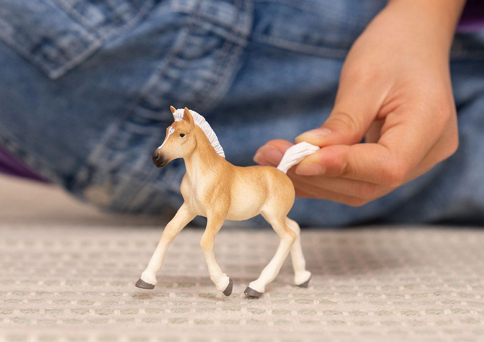 https://cdn.shopify.com/s/files/1/0761/9818/3222/products/13951_HC_HaflingerFoal_cropped_quer_RGB.jpg?v=1695745285