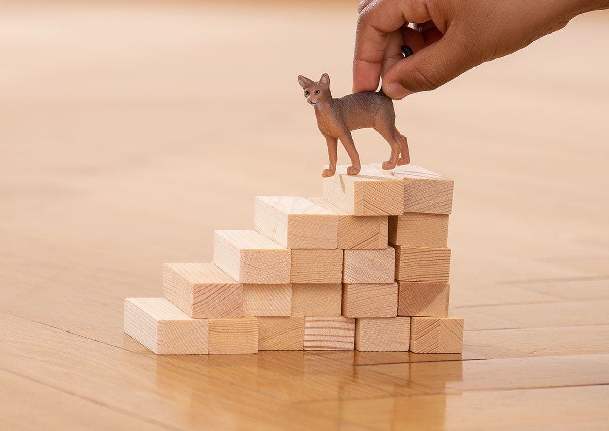 Schleich Abyssinian Cat Figurine: Lifelike Miniature Playful Feline Toy for Kids