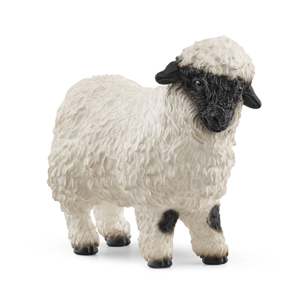 Valais Black Nose Sheep