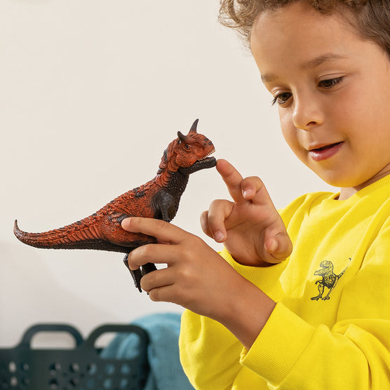 https://cdn.shopify.com/s/files/1/0761/9818/3222/files/14586_cropped_RGB.jpg?v=1695822881
