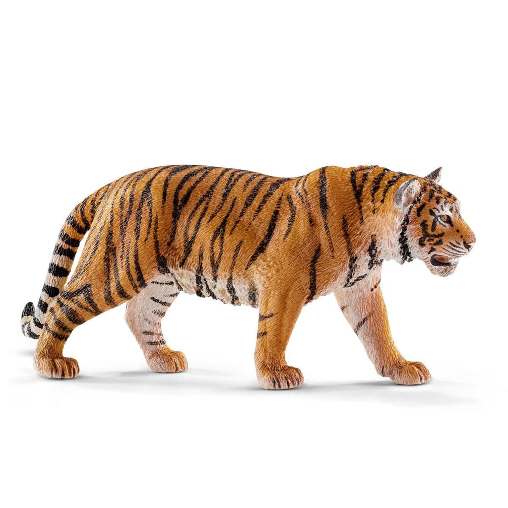 Tiger — Learning Express Gifts