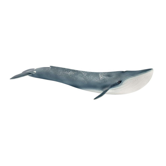 https://cdn.shopify.com/s/files/1/0761/9818/3222/products/14806_main_v18_TP.jpg?v=1695745704