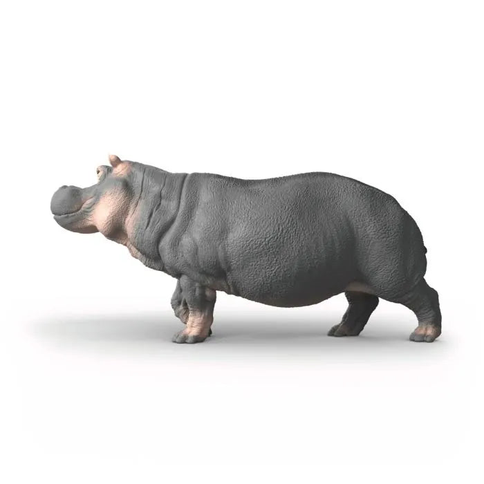 https://www.animals-toys.com/media/catalog/product/cache/547a9c01a3a847e3e80593c67c4cfbef/1/4/14938_view-left_hy1_2026.webp