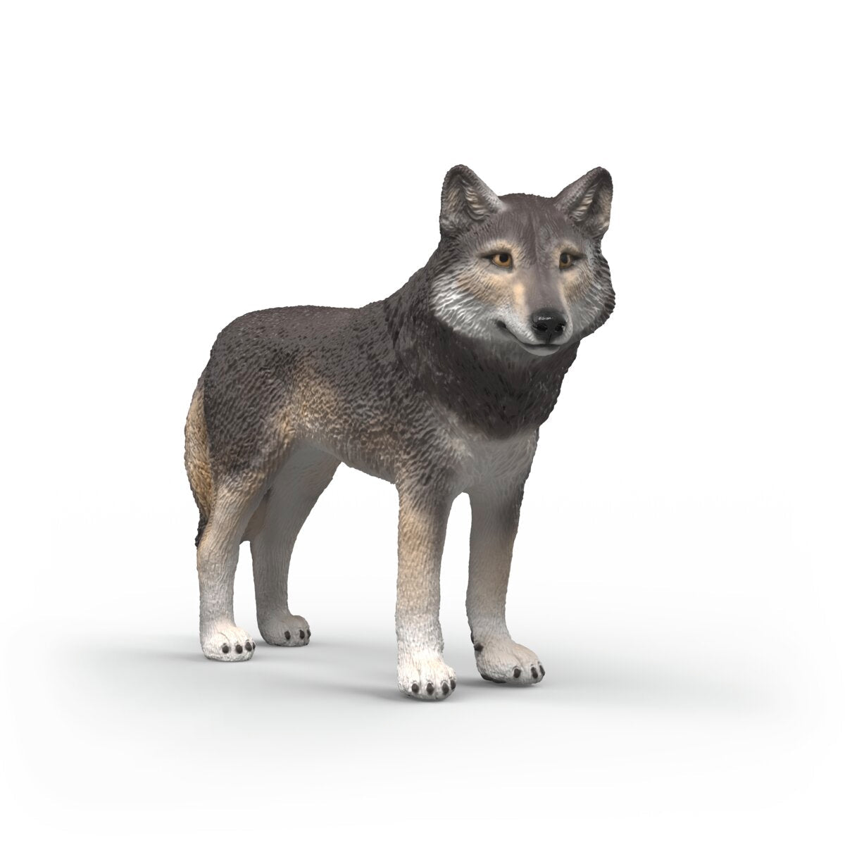 https://it.schleich-s.com/cdn/shop/files/14991_cover_HY1_2026.jpg?v=1762864009&width=1200