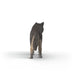 https://it.schleich-s.com/cdn/shop/files/14991_view-back_HY1_2026.jpg?v=1767863580&width=1200