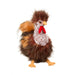Douglas Cuddle Toy Ricardo Rooster Plush Stuffed Animal 11-Inch