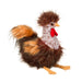 Douglas Cuddle Toy Ricardo Rooster Plush Stuffed Animal 11-Inch