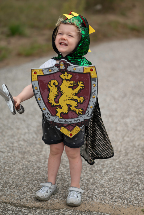 Knights Honour Sword